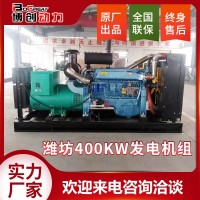 潍坊400KW发电机组