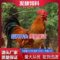 蛋鸡生物料