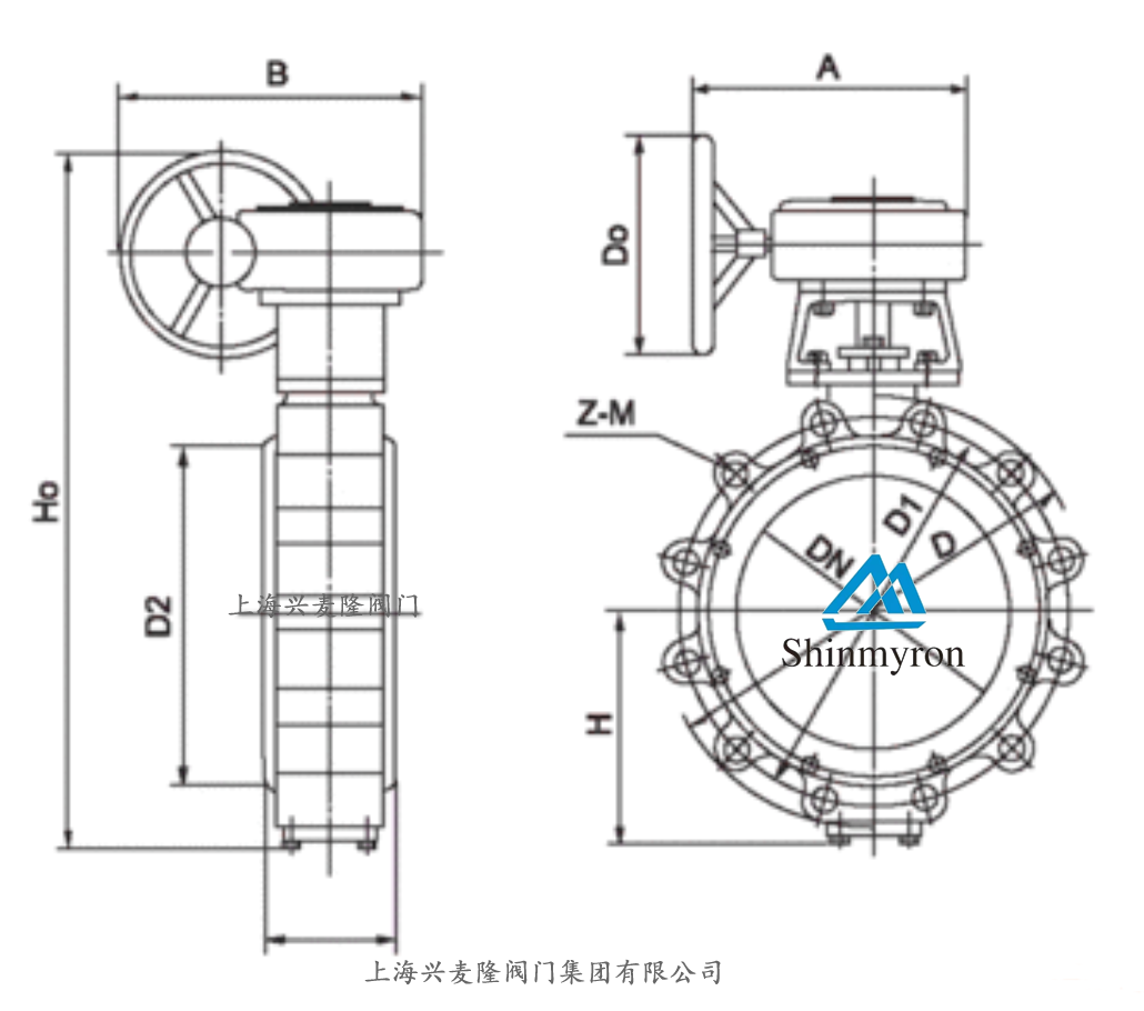 凸耳蝶阀.png